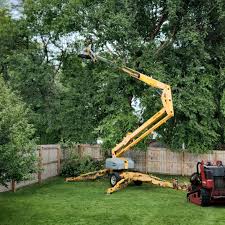 Best Artificial Turf Installation  in Mount Hermon, CA